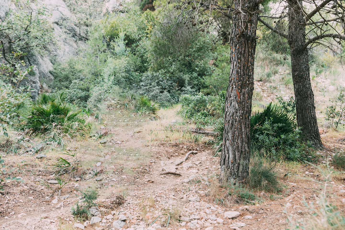 Hiking & Nature Walks